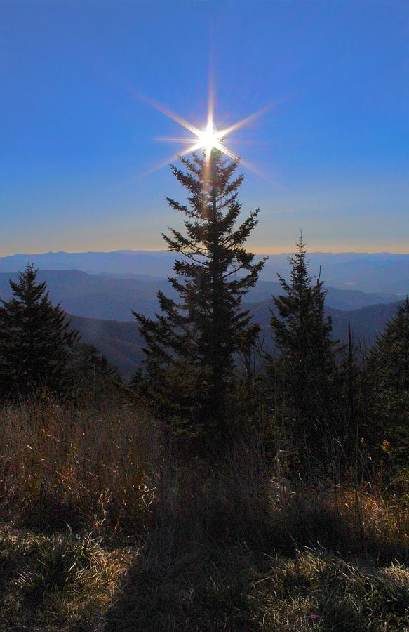 Spruce Rising Sun on Clingmans Dome  Photograph by Micky Roberts