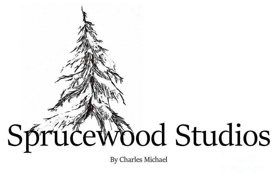 Sprucewood Studios Photograph by Charles Vice