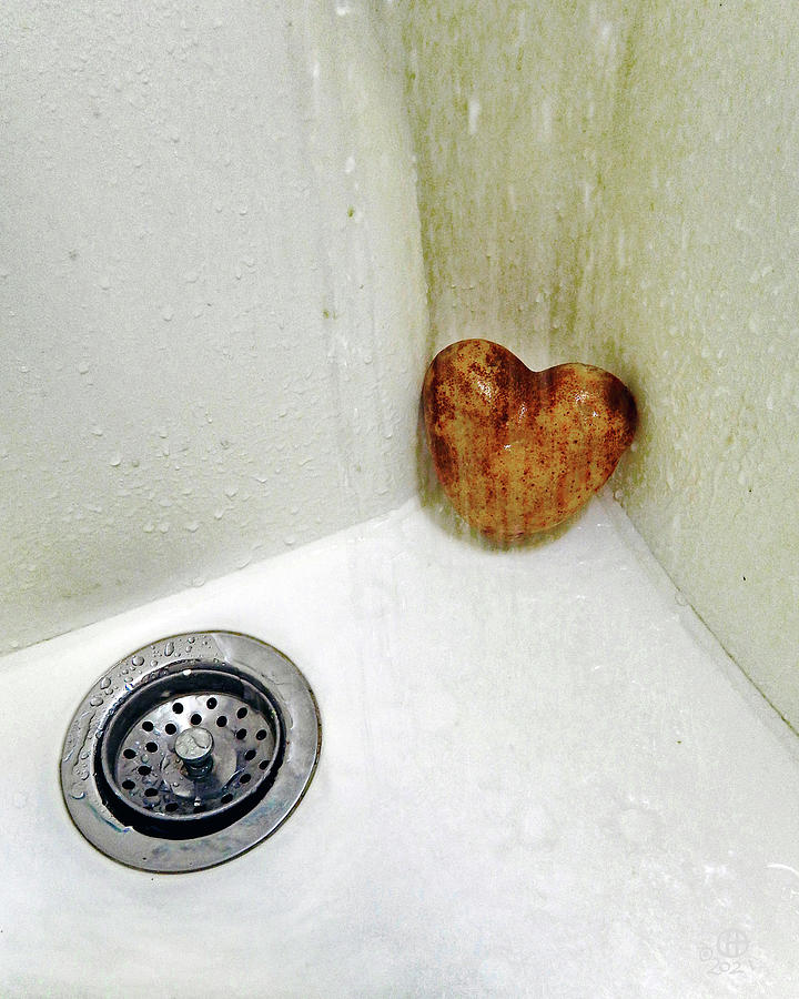 Spud-Heartss Shower Photograph by Gary Olsen-Hasek