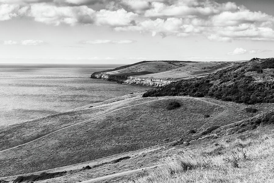 Coastal Hills Black And White Photograph by Tanya C Smith