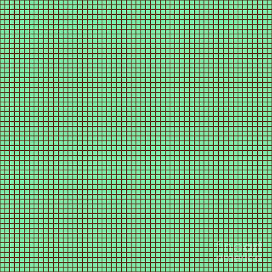 Square Grid Lattice Pattern In Mint Green And Chocolate Brown N.1149 Painting