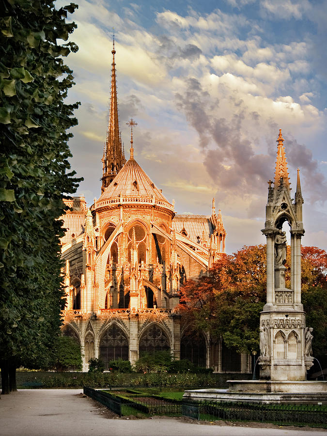 Paris Photograph - Square Jean XXIII behind Notre Dame de Paris by Barry O Carroll