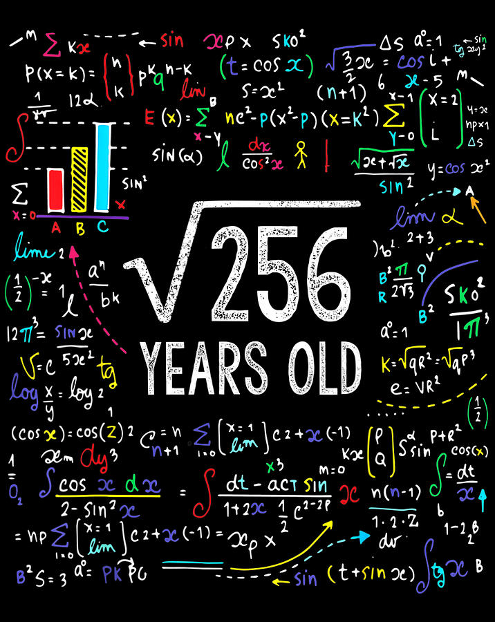 square-root-of-256-16th-birthday-16-year-old-gifts-math-bday-t-shirt-digital-art-by-minh-trong-phan