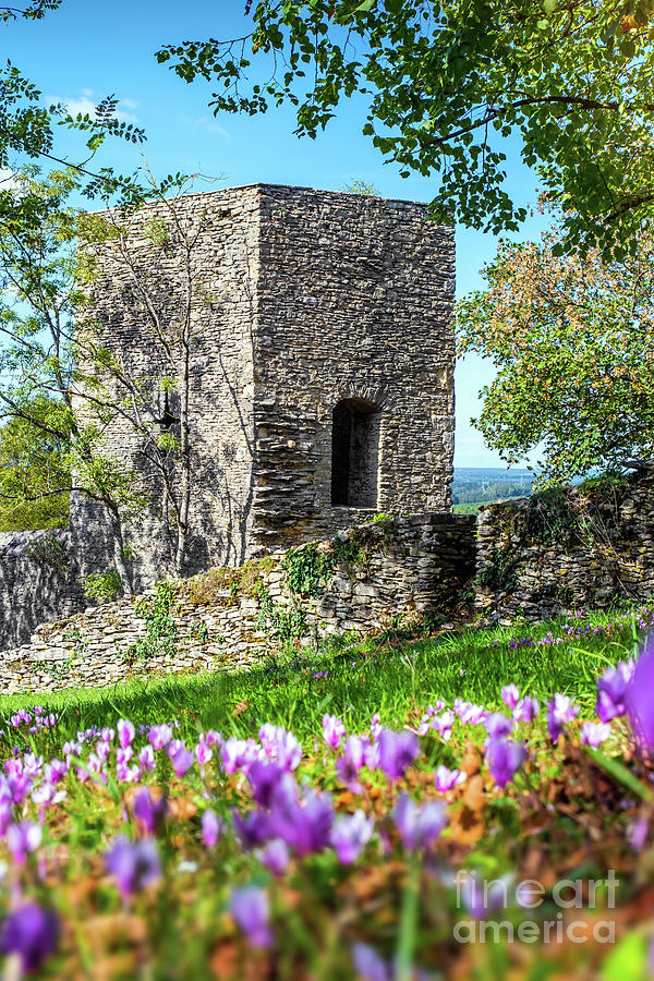 Square stone tower along medieval rampart in flowered meadow Photograph by Gregory DUBUS