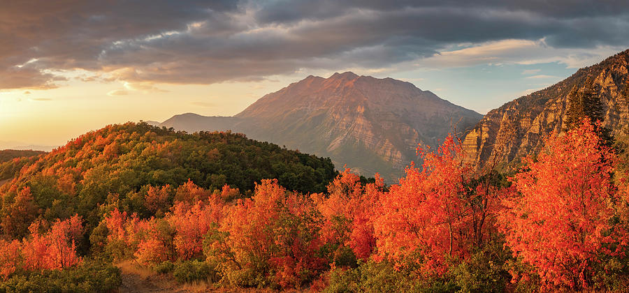 Provo Photograph - Squaw Peak Maple Panorama by Wasatch Light