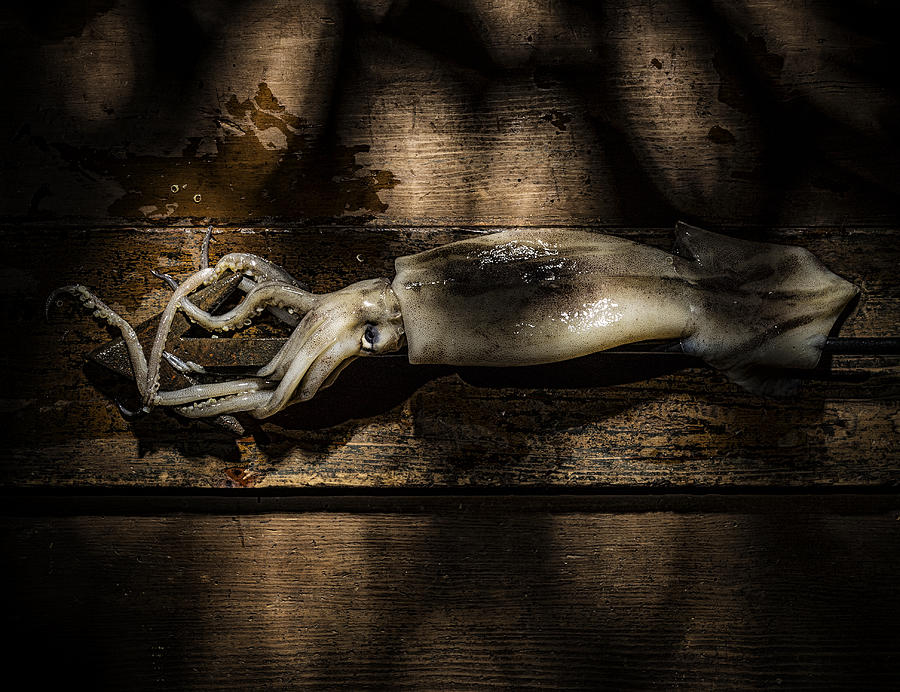 Squid and Harpoon Photograph by Ian Gwinn