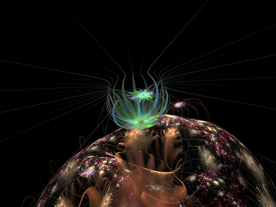 Squid Planet Digital Art by Ronda Broatch
