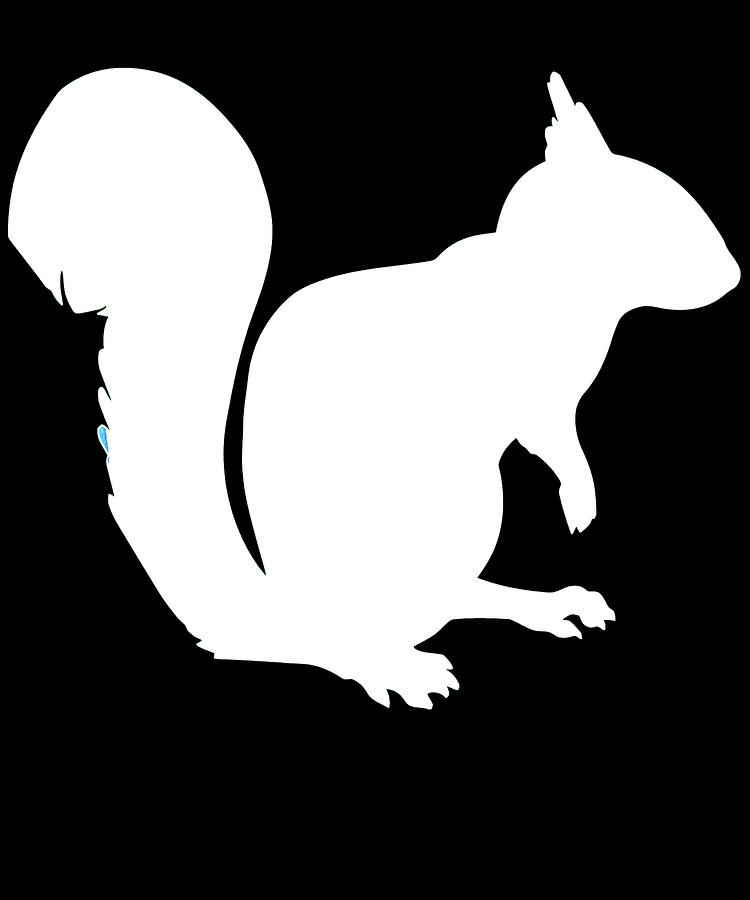 Squirrel 77 Digital Art by Lin Watchorn
