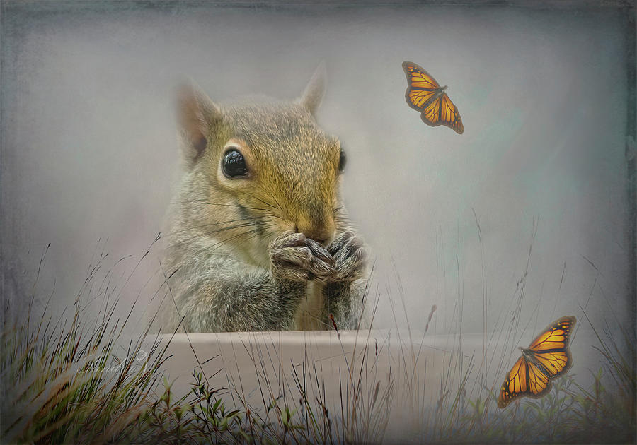 Squirrel and Butterfly Painting Photograph by Sandra Js