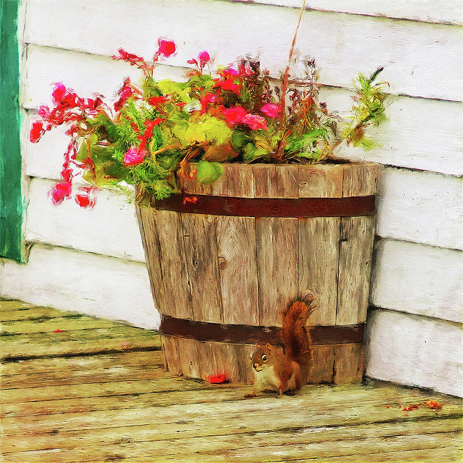 Squirrel and flowerpot, Newfoundland Mixed Media by Tatiana Travelways