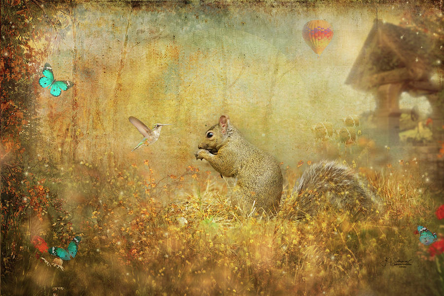 Squirrel and Hummingbird Photograph by Allyson Schwartz