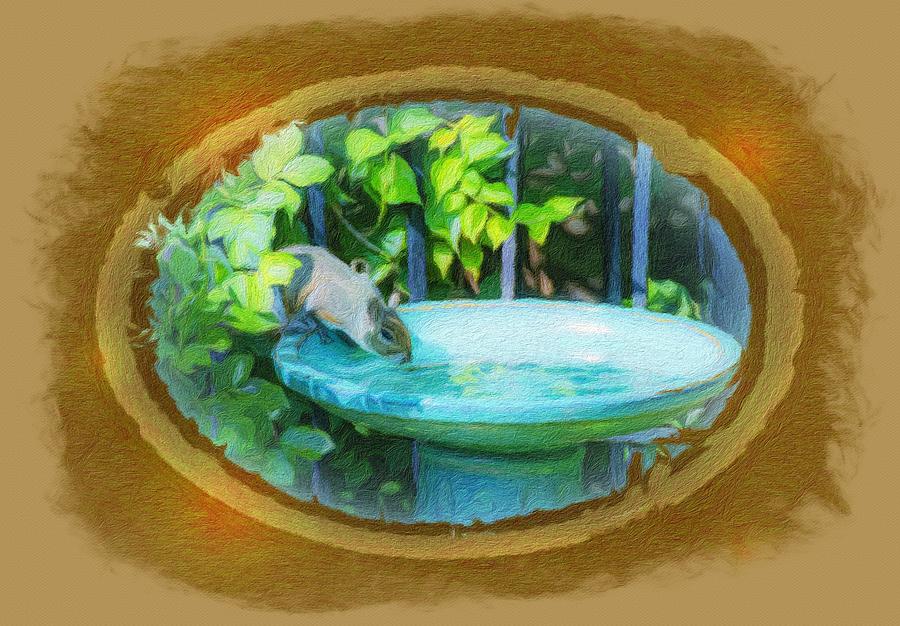 Squirrel at the Bird Bath Photograph by Diane Lindon Coy