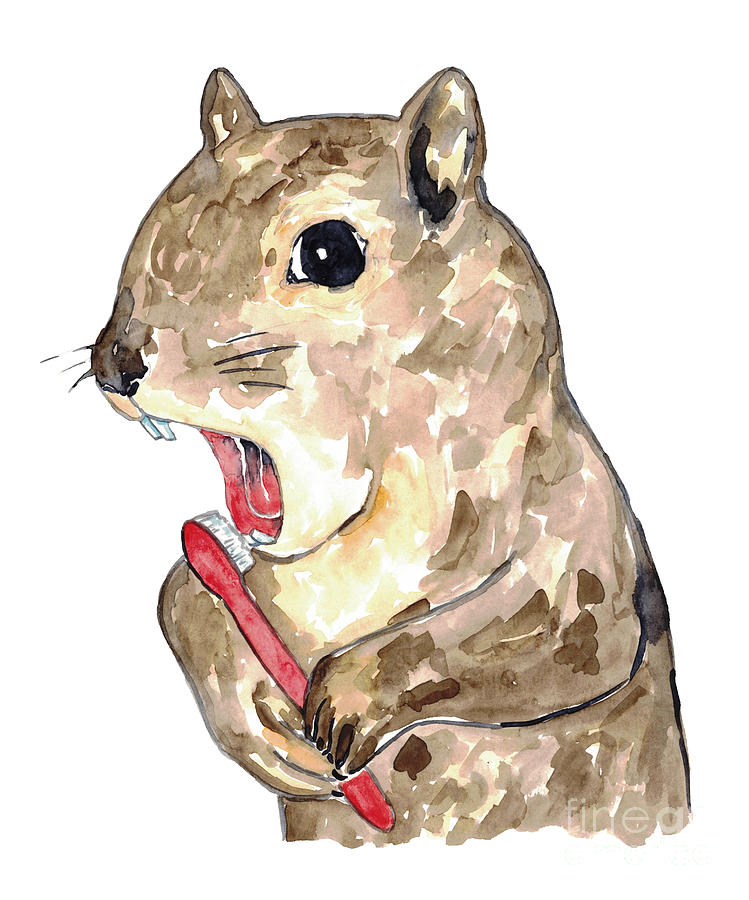 Squirrel brushing teeth bath watercolor Painting by Maryna Salagub - Pixels