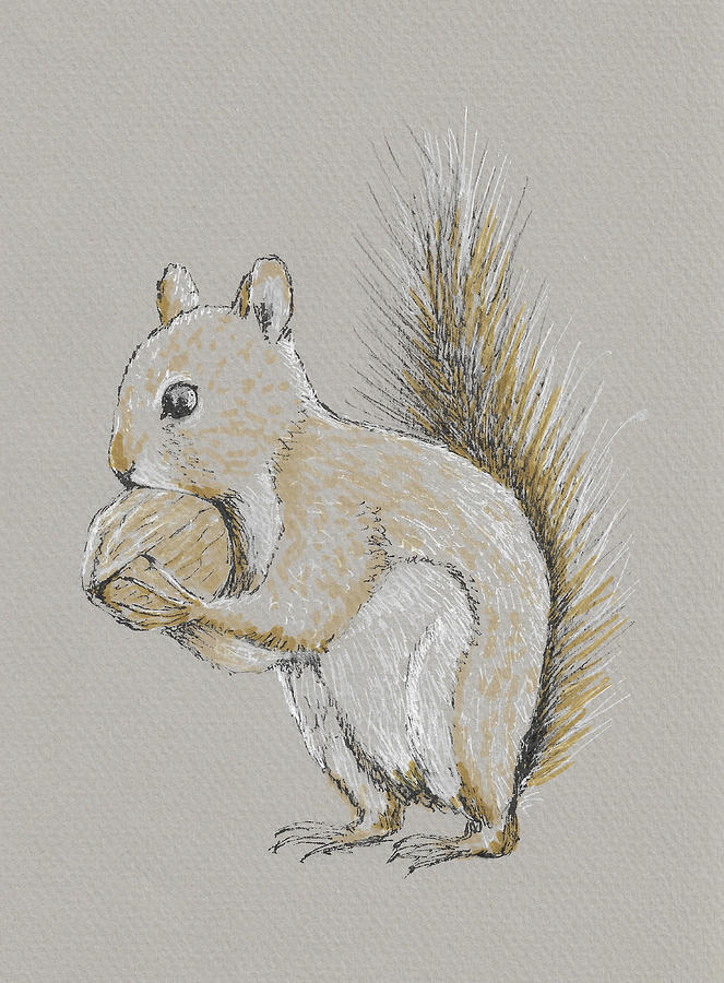Fox Squirrel Colored Pencil Drawing Art Print - Etsy Denmark