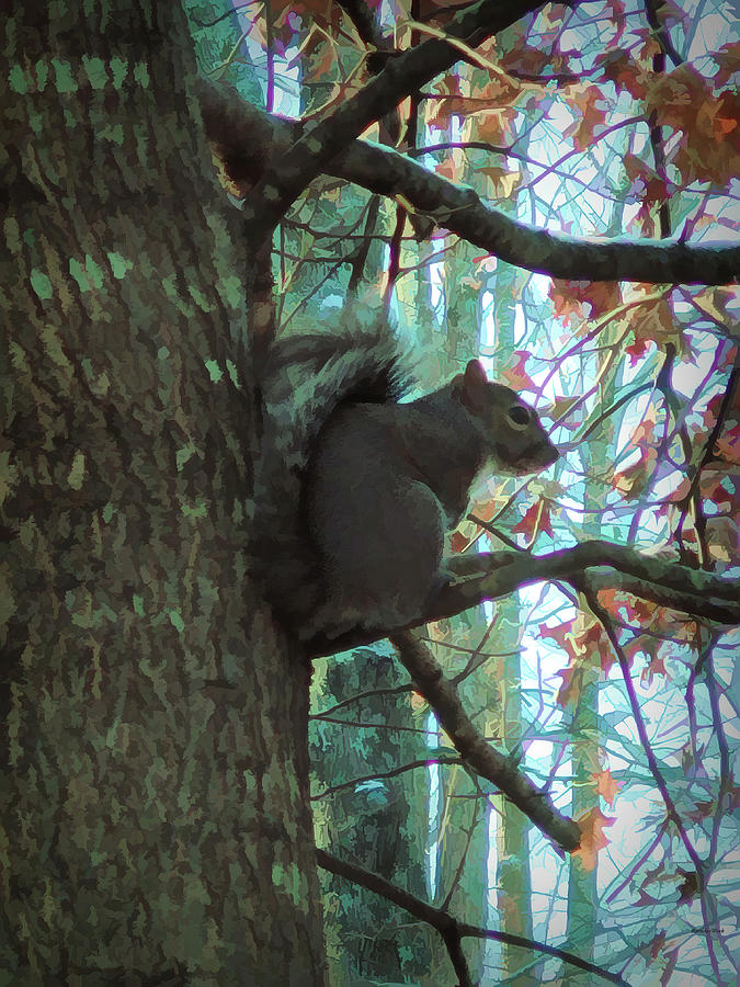 Squirrel in a Tree Photograph by Roberta Byram