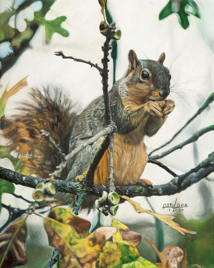 Squirrel in Tree Painting by Joshua Martin