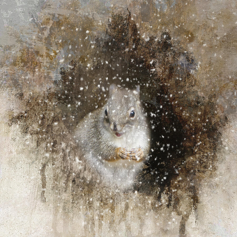 Squirrel in Winter Photograph by Marilyn Wilson