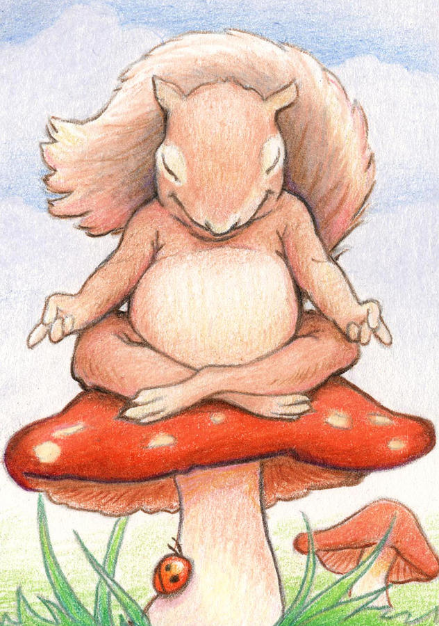 Mushroom Drawing - Squirrel Meditation by Amy S Turner