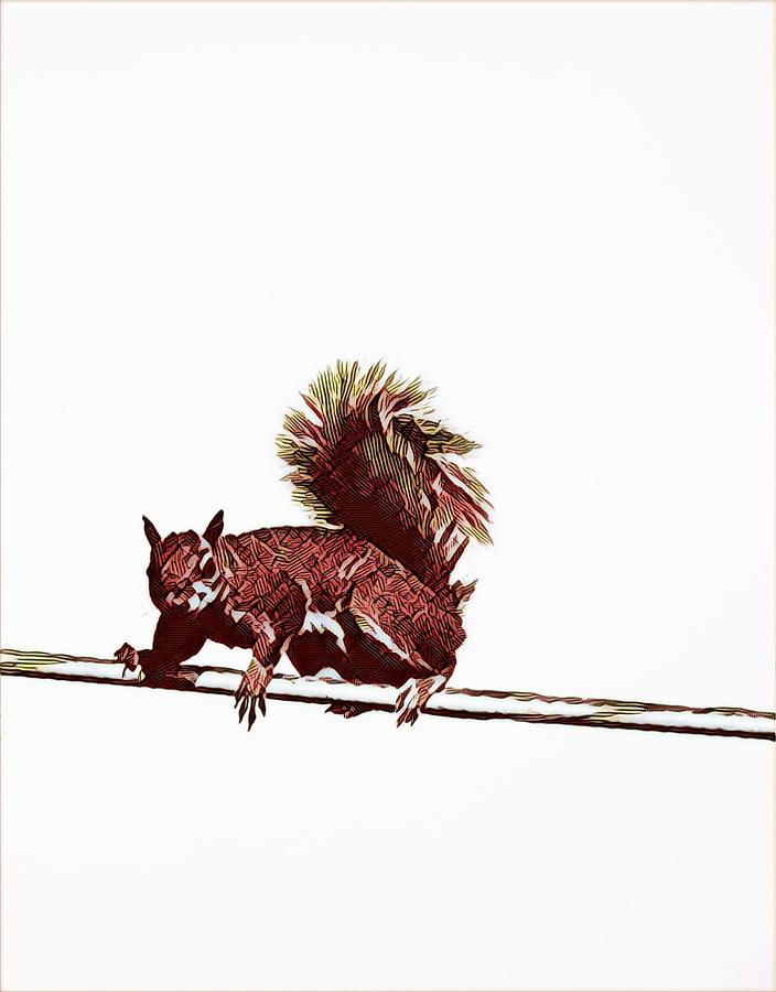 Squirrel on a wire Photograph by Lauren Sage Squirrel on a wire Photograph by Lauren Sage