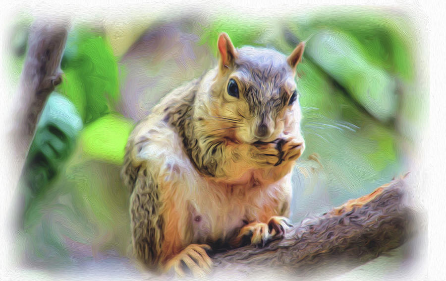 Squirrel Painting Digital Art by Debra Kewley
