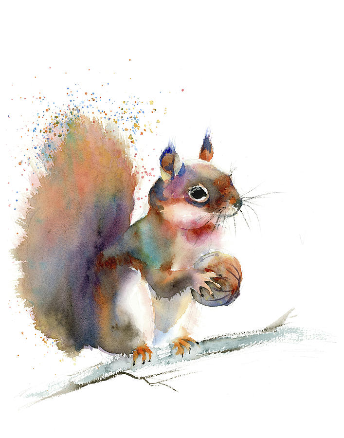 Wildlife Painting - Squirrel by Paintis Passion