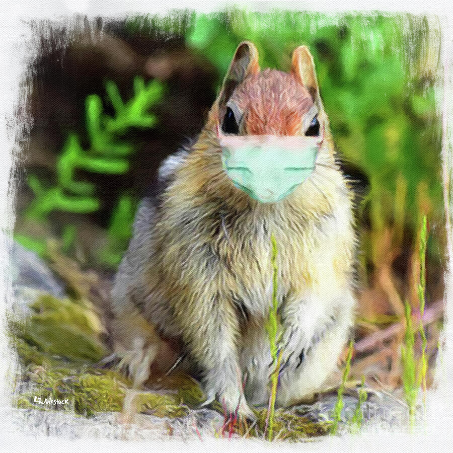 Mask up - Squirrel Mixed Media by Linda Weinstock
