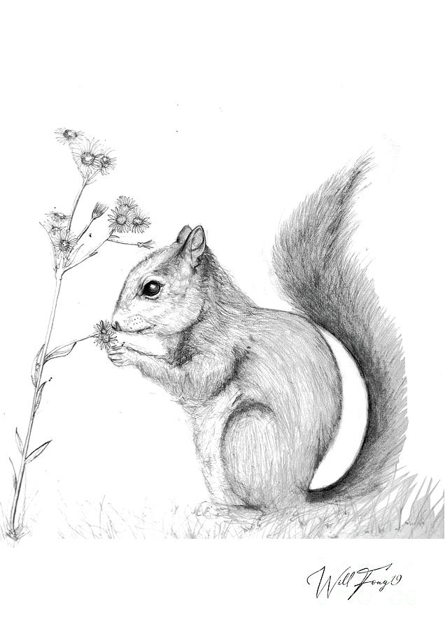 How to Draw a Realistic Squirrel on a Tree Branch | Pencil Drawing Tutorial  - YouTube