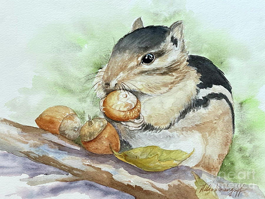Squirrel with Acorns Painting by Hilda Vandergriff