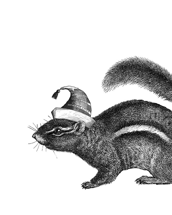 Animal Digital Art - Squirrel with Tassel Hat by Madame Memento
