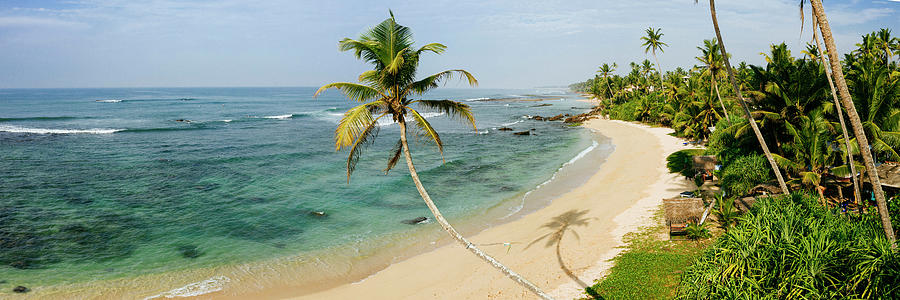 Sri Lanka beach and palm trees Photograph by Sonny Ryse