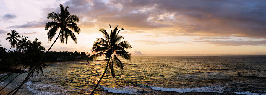 Sri Lanka beach and palm trees sunset Photograph by Sonny Ryse