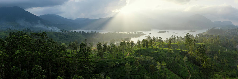 Sri Lanka Tea fields Maskeliya 2 Photograph by Sonny Ryse