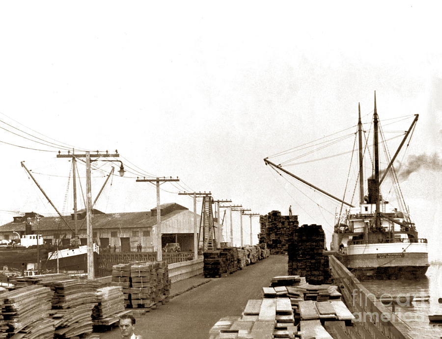 Unloading Photograph - S.S. Dasey Mathews unloading Lumber in Monterey 1933 by Monterey County Historical Society