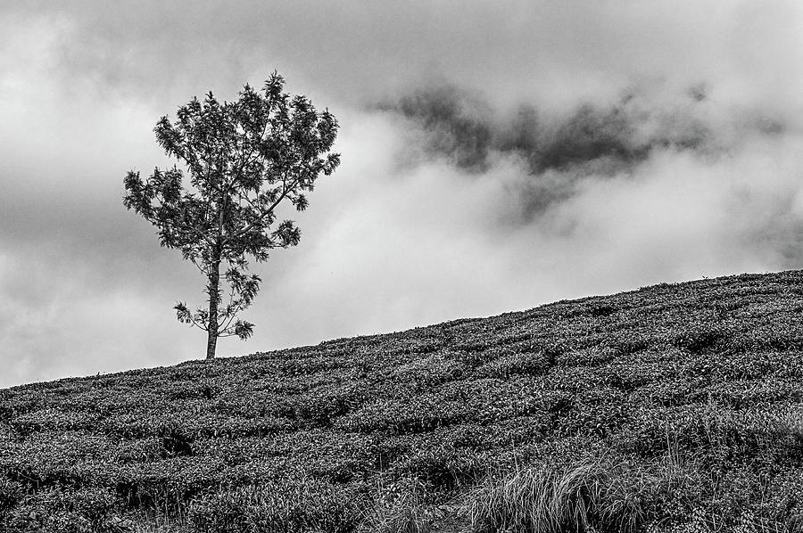 Mountain Photograph - SSK 9395 Reaching The Skies. B/W by Sunil Kapadia