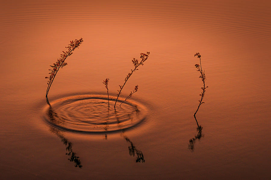 Sunset Photograph - _SSK2680 Its An Embrace. Color by Sunil Kapadia