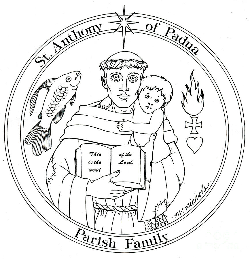 St Anthony of Padua Drawing by William Hart McNichols