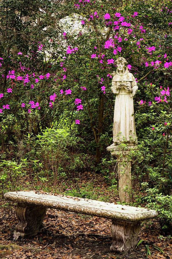 https://images.fineartamerica.com/images/artworkimages/mediumlarge/3/st-francis-and-bench-rich-nicoloff.jpg