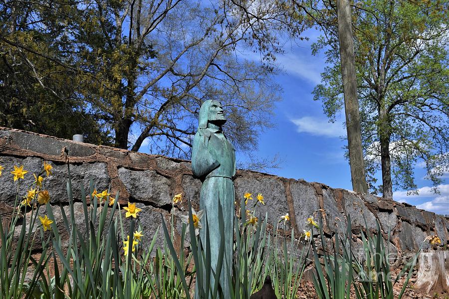 St. Francis Garden Statue Photograph by Julie Adair