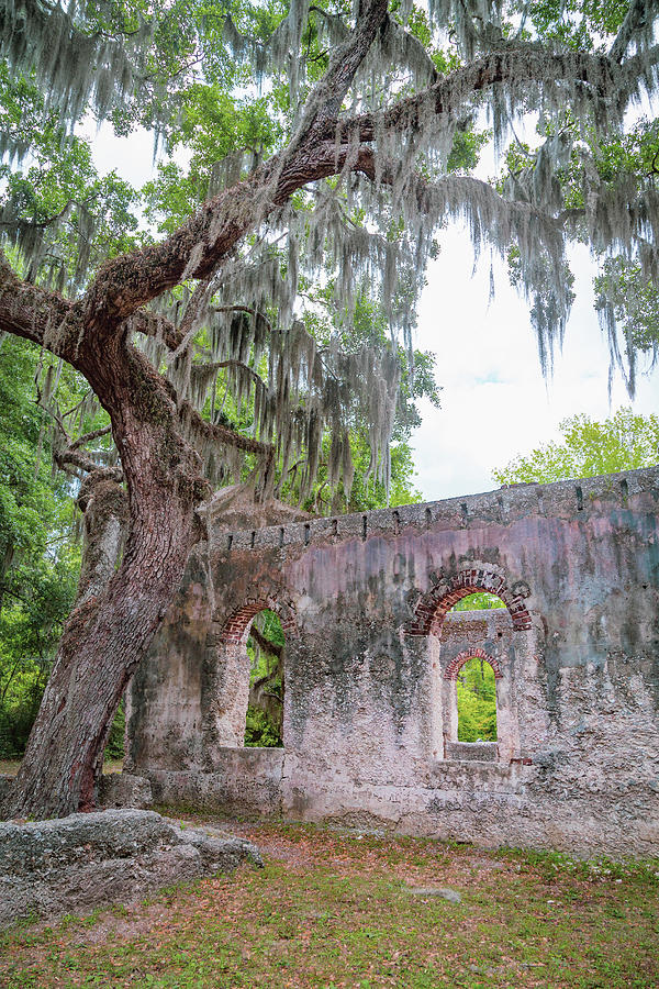 St. Helena Island Chapel of Ease 12 Photograph by Cindy Robinson