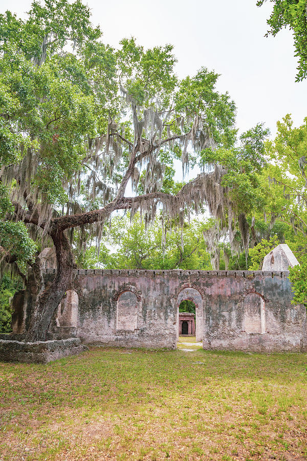St. Helena Island Chapel of Ease 3 Photograph by Cindy Robinson