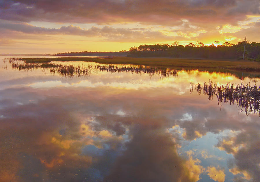 Low Country Sunrise Photograph by Bill Chambers