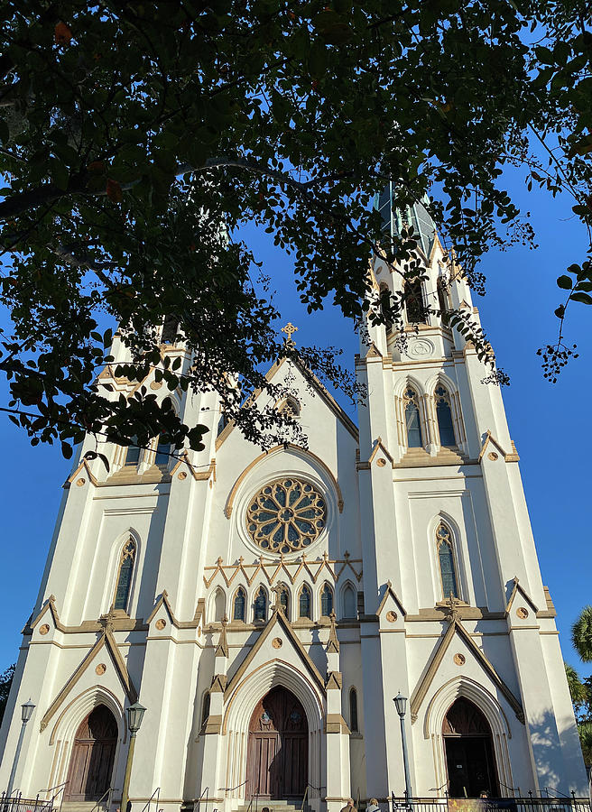 St. John the Baptist Cathedral, Savannah, Georgia Photograph by Dawna Moore Photography