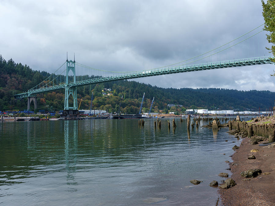 Portland Photograph - St Johns Bridge Shoreline by Doug Ash