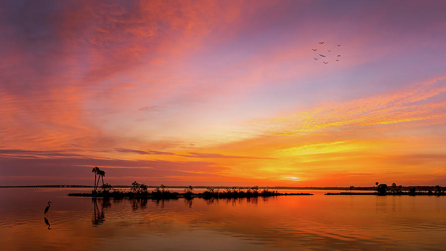 St. Johns River Sunrise Photograph by Randall Allen