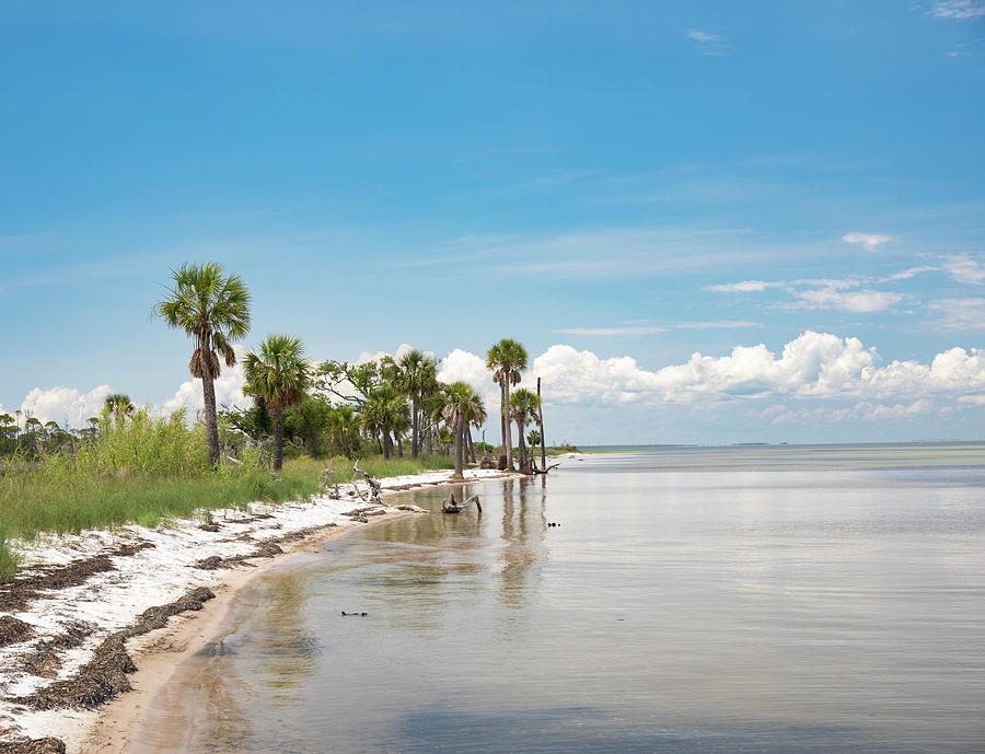 St. Joseph Bay Shoreline Florida Photograph by Dan Sproul | Pixels