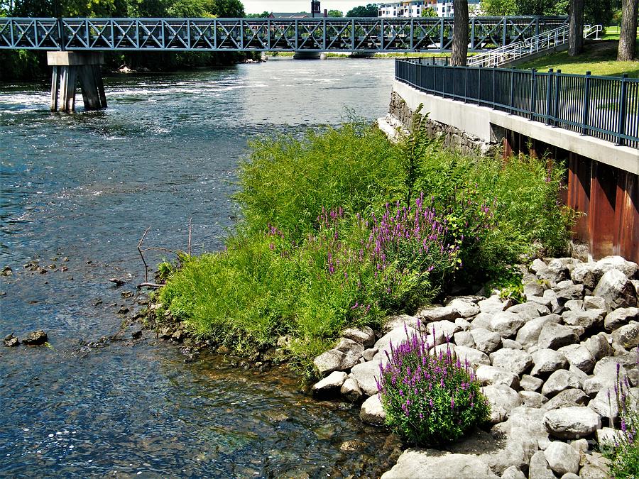 St. Joseph River With Walkway and Pedestrian Bridge Mishawaka Indiana