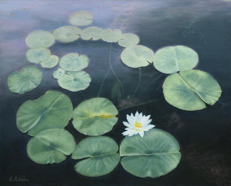 Ebern Designs Kemet Lily Pads Floating In The Water With Lotus Pads On  Canvas by Stephconnell Print