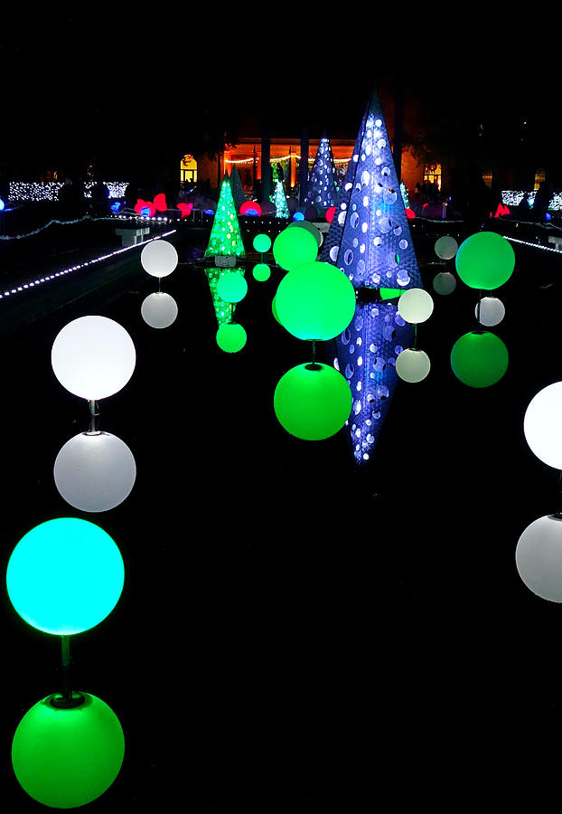 St Louis Botanical Gardens Christmas Lights Study 6 Photograph by Robert Meyers-Lussier