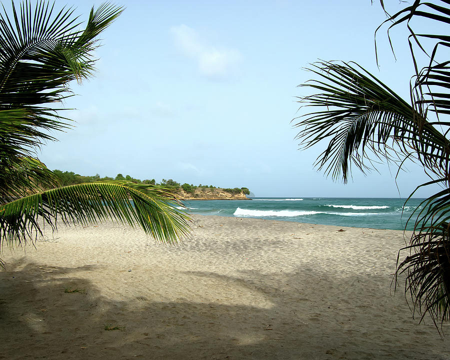 St. Lucia Beach  Photograph by Flinn Hackett