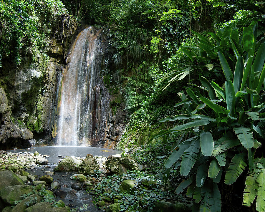 St Lucia Botanical Gardens Waterfall Photograph by Flinn Hackett